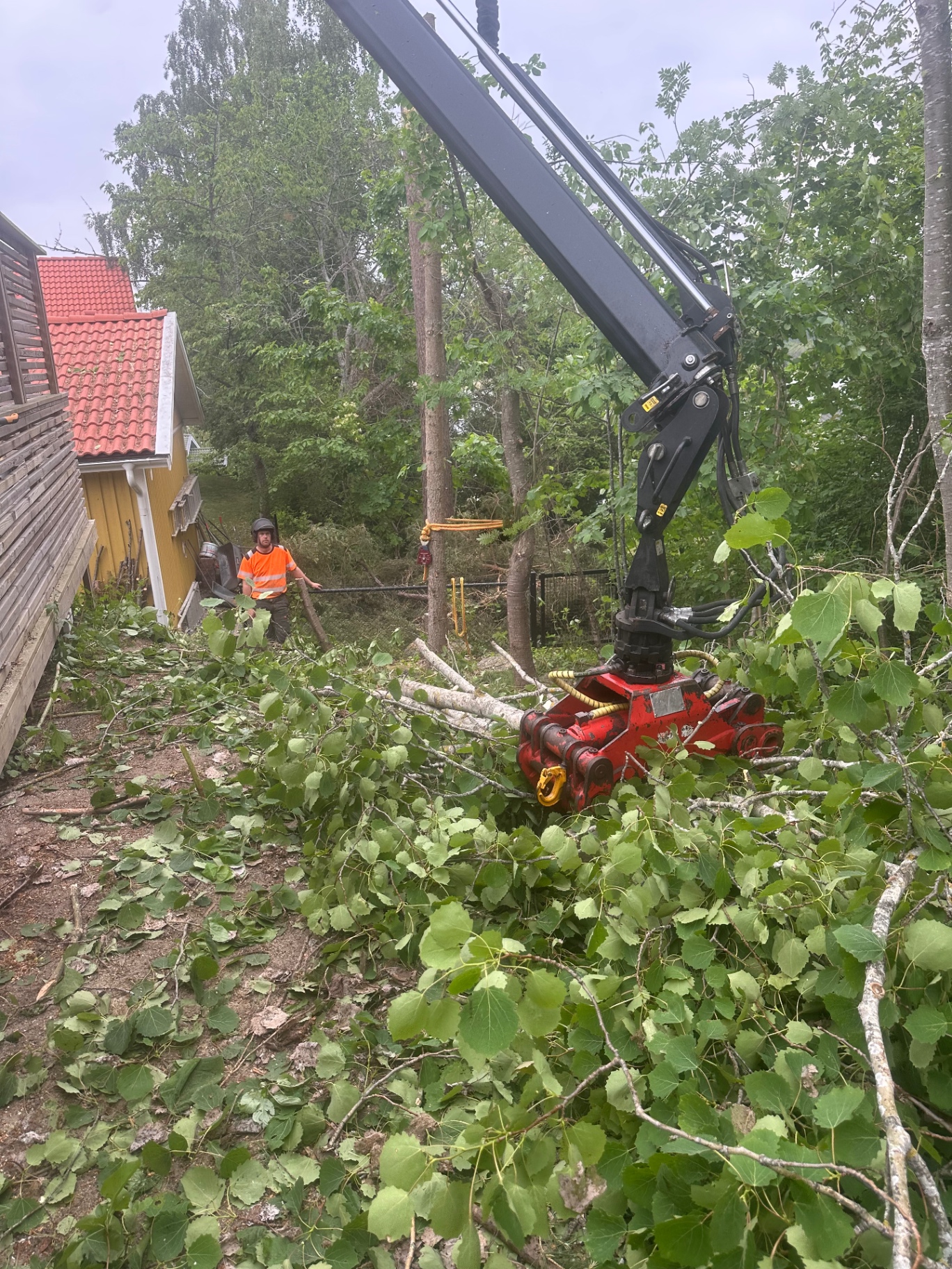 Trädfällning med kranbil intill ett bostadshus